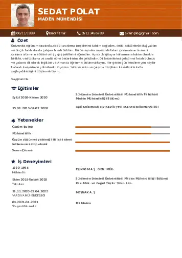 Maden Mühendisi Cv Örnekleri cv indir